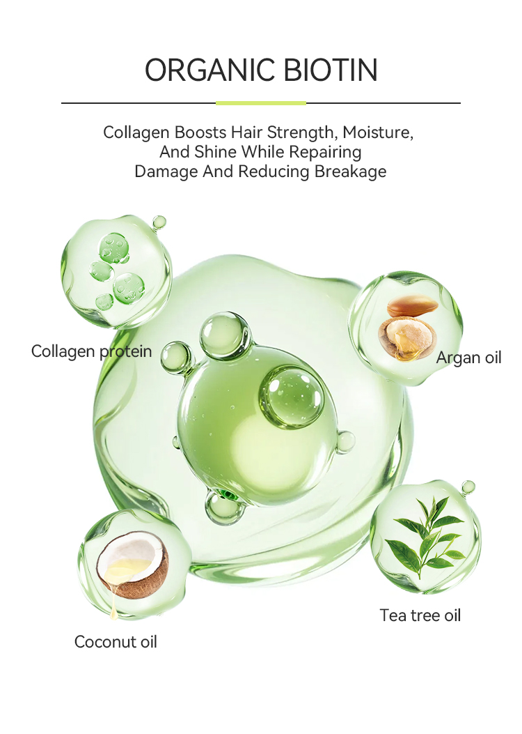 Oily Hair Choose The Right Ingredients, Shampoo Oil Control Effect Doubled