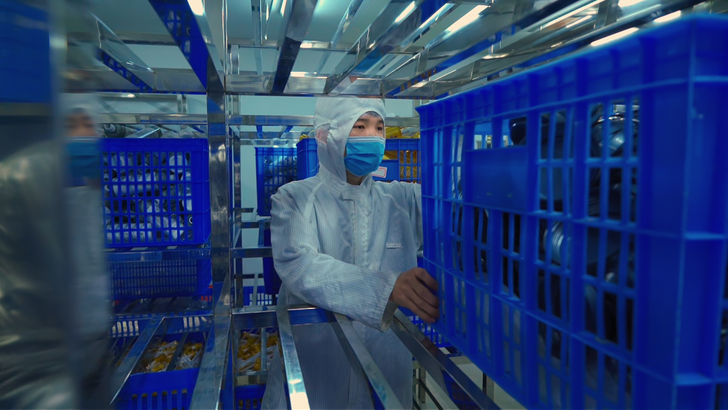 Factory Showcase